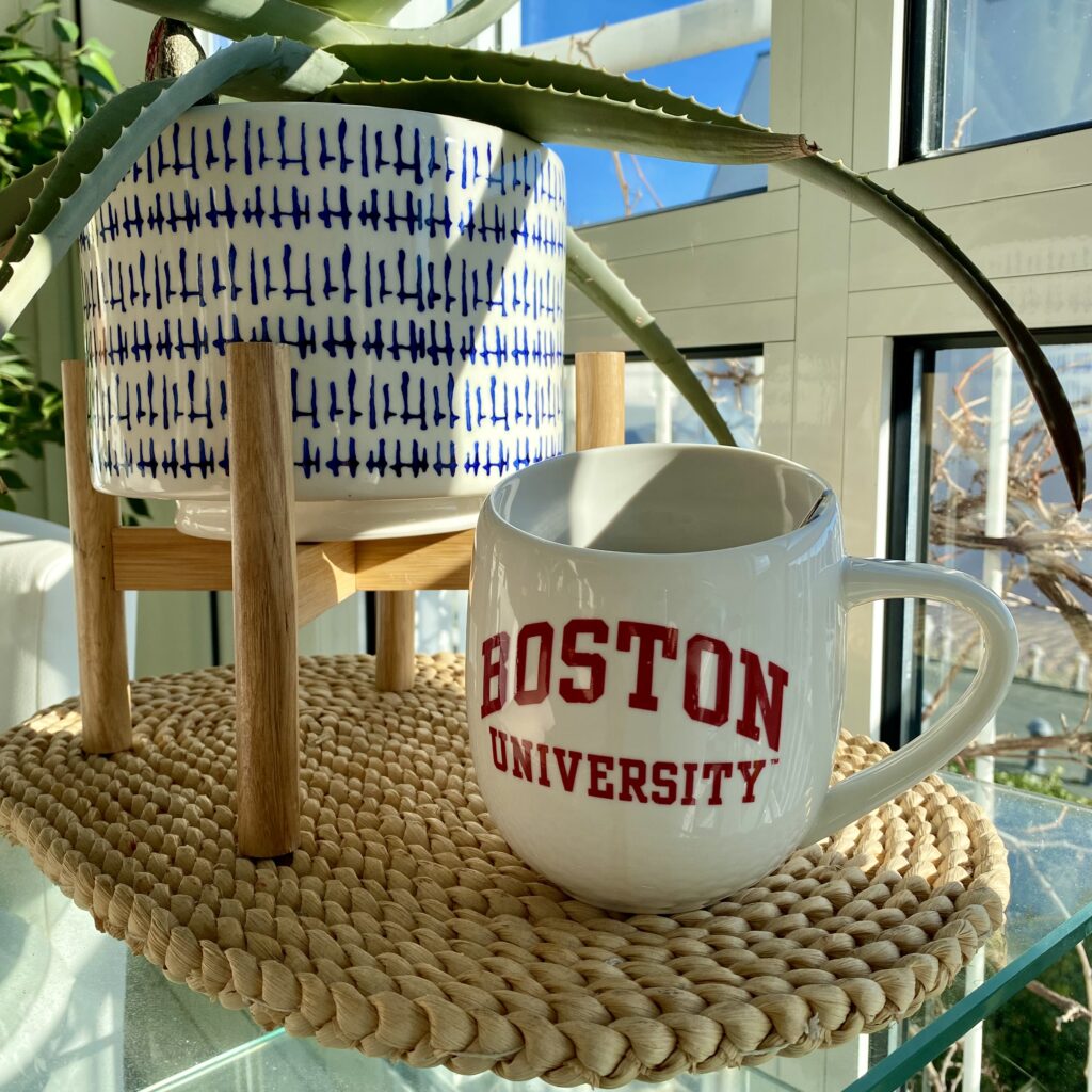 Hilf mir, MCAS-Forschung möglich zu machen! 26 IMG