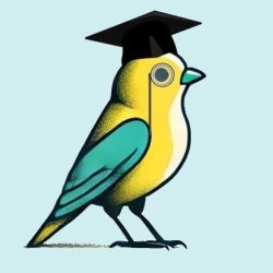 Canary doctor türkis gespiegelt